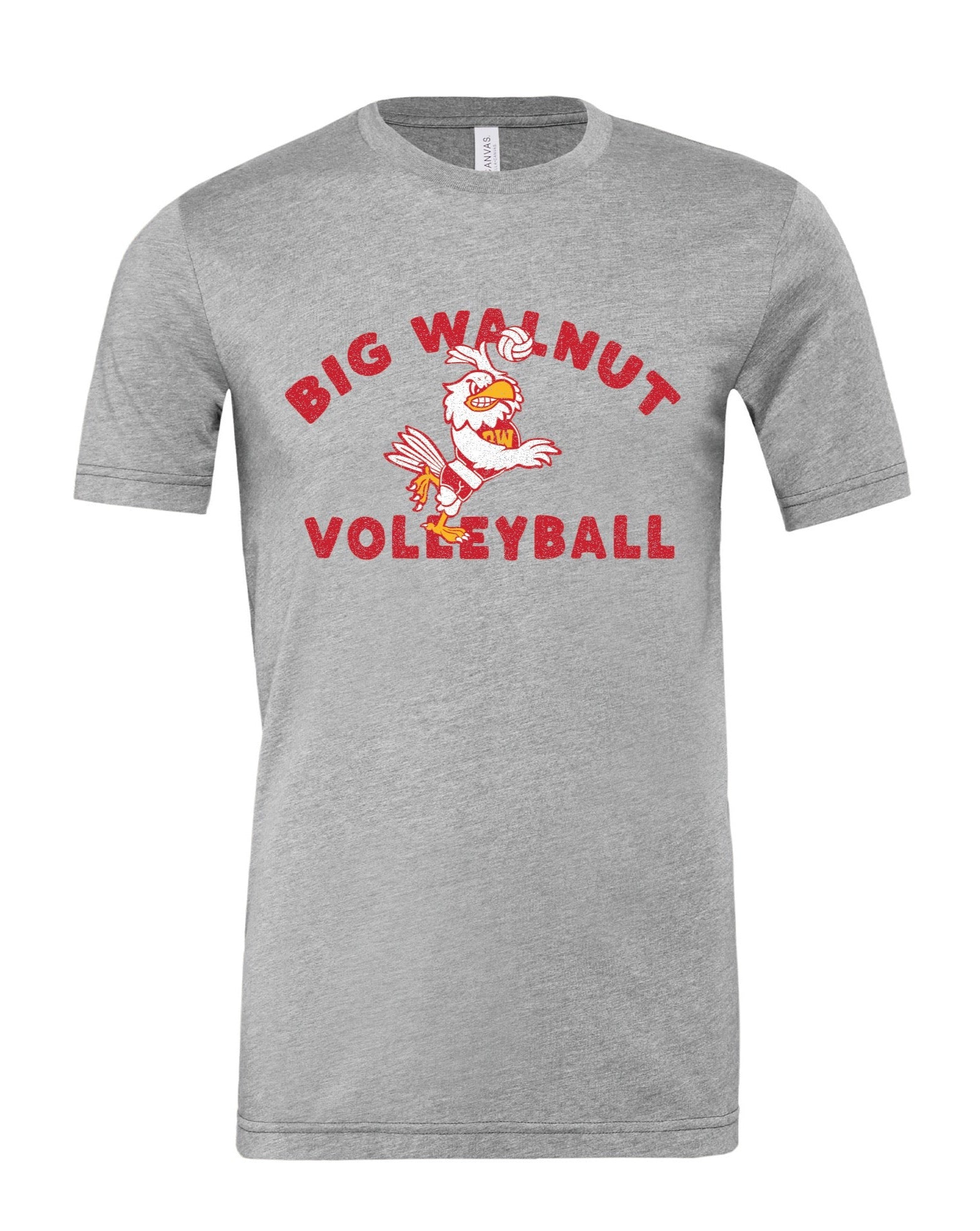 013BWVOLLEYBALLSHORTSLEEVETEE.jpg