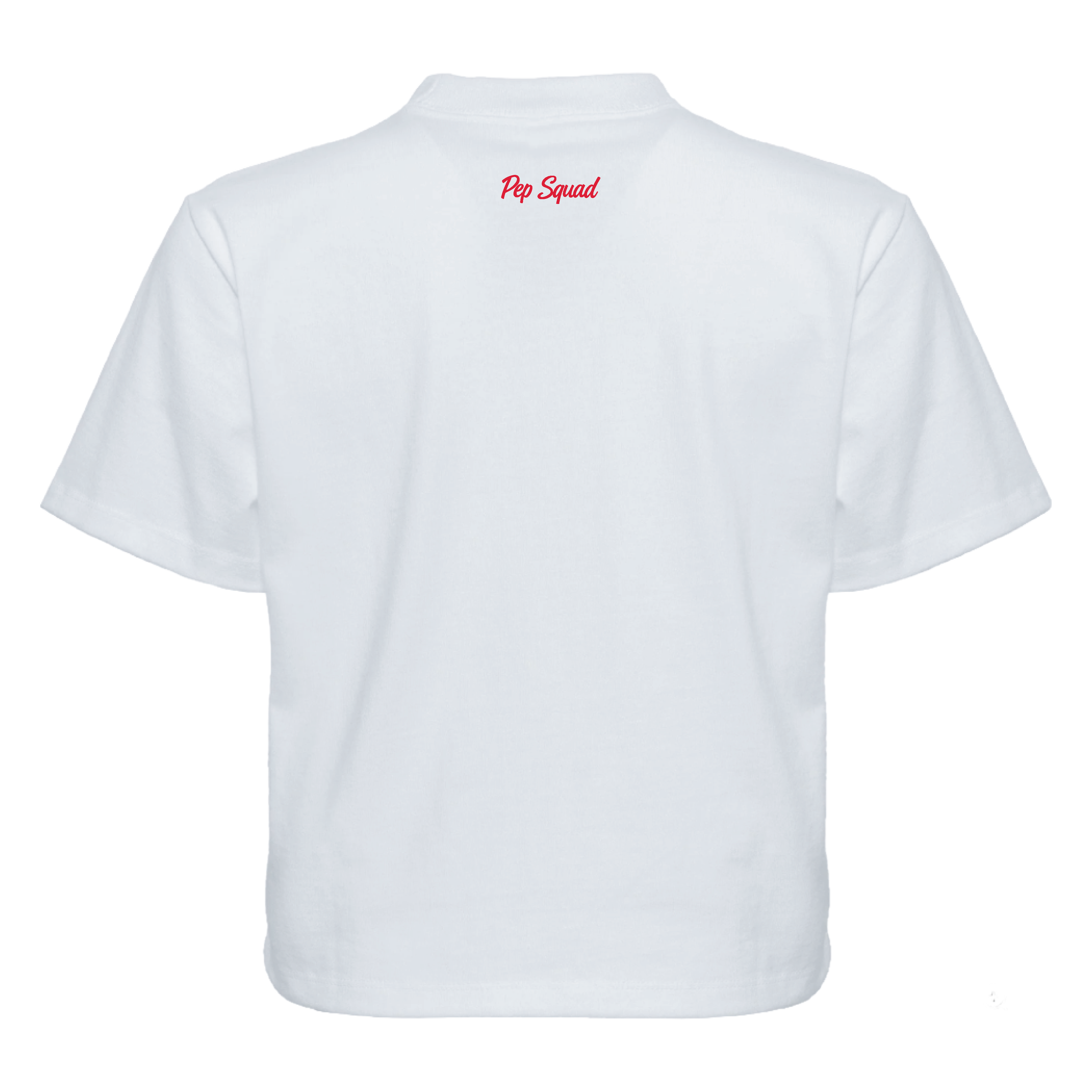 BIG WALNUT | GAME DAY CHEER STATE CHAMPION TEE