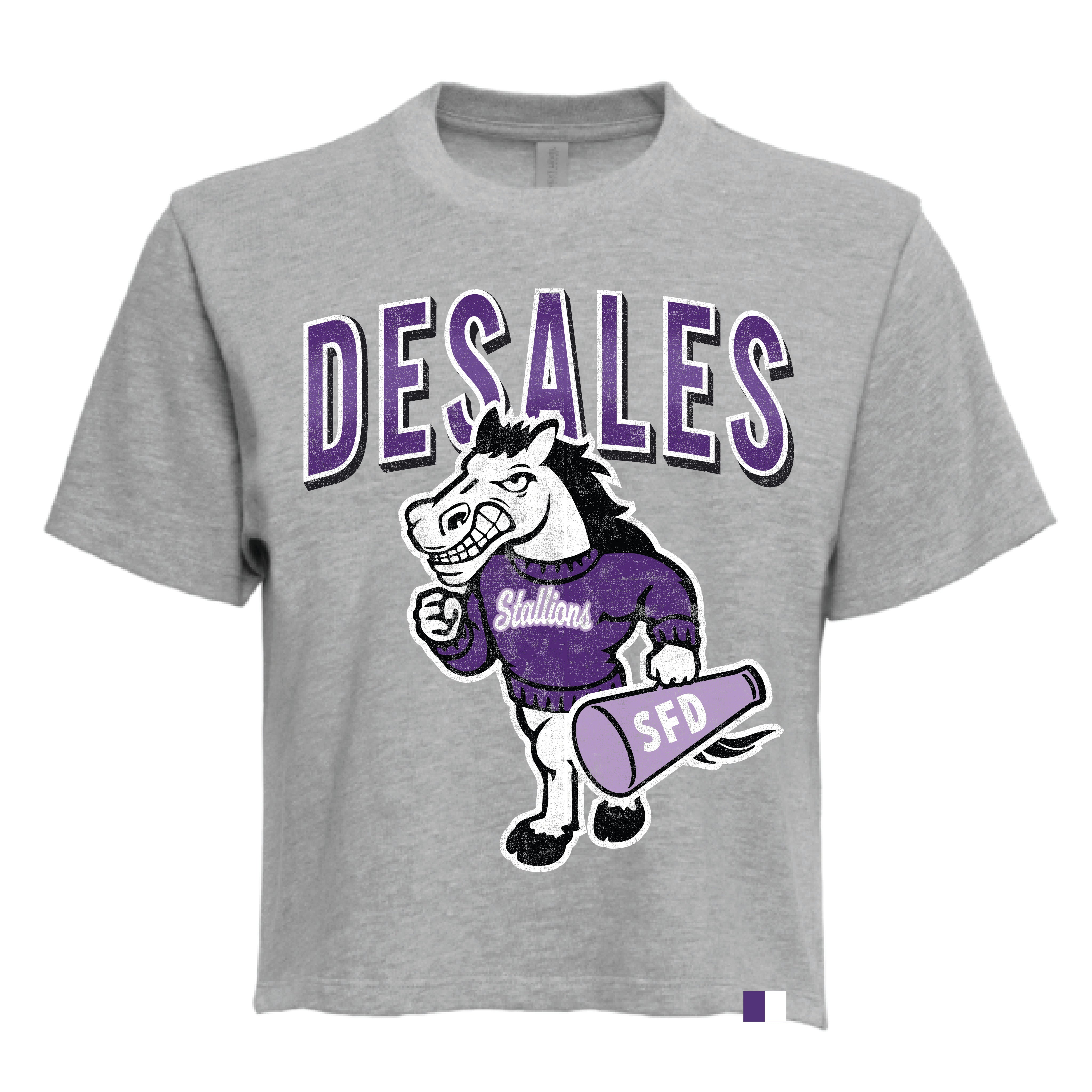 DESALES | VINTAGE CHEER VARSITY BOXY TEE