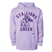 DESALES | STALLIONS VINTAGE CHEER HOODIE