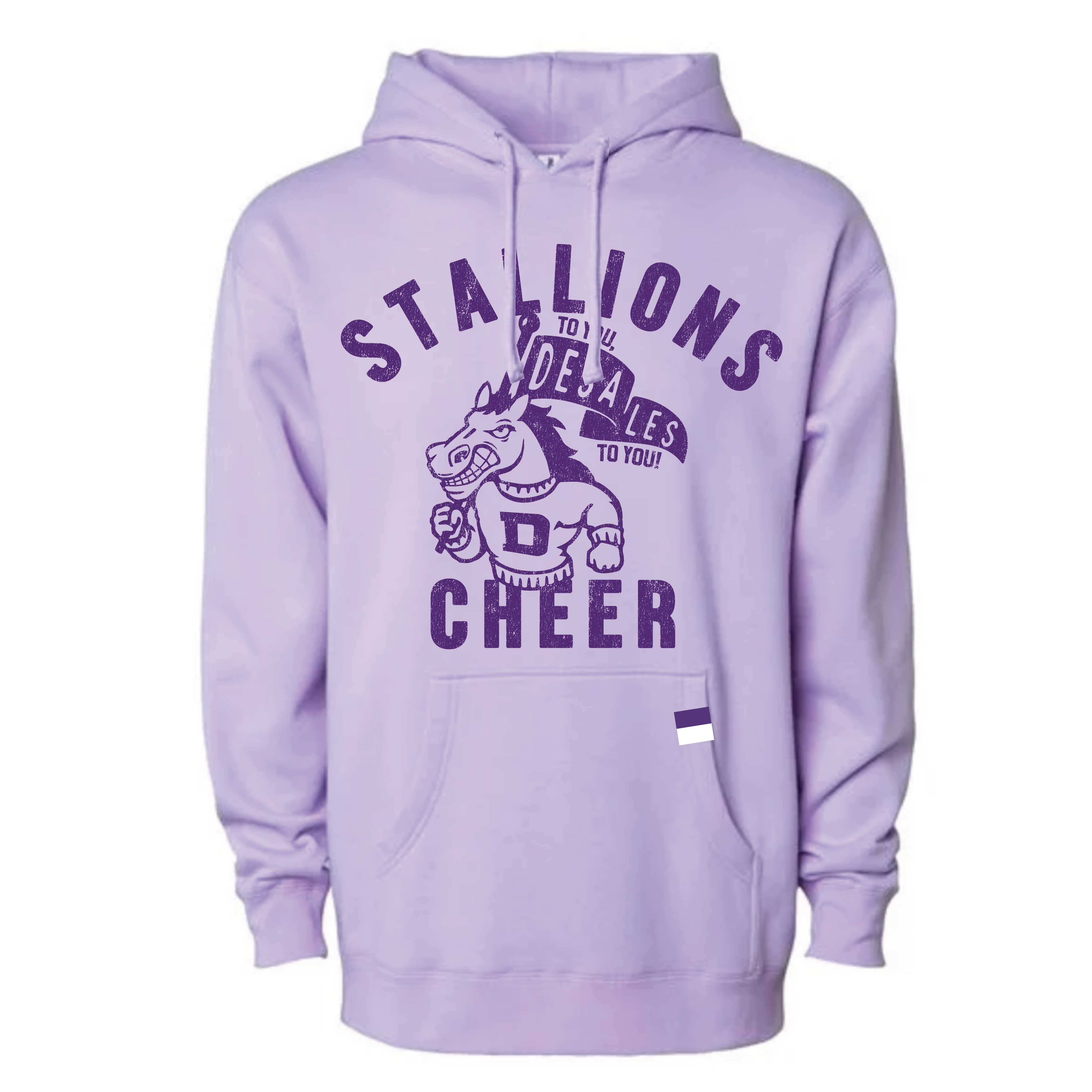 DESALES | STALLIONS VINTAGE CHEER HOODIE