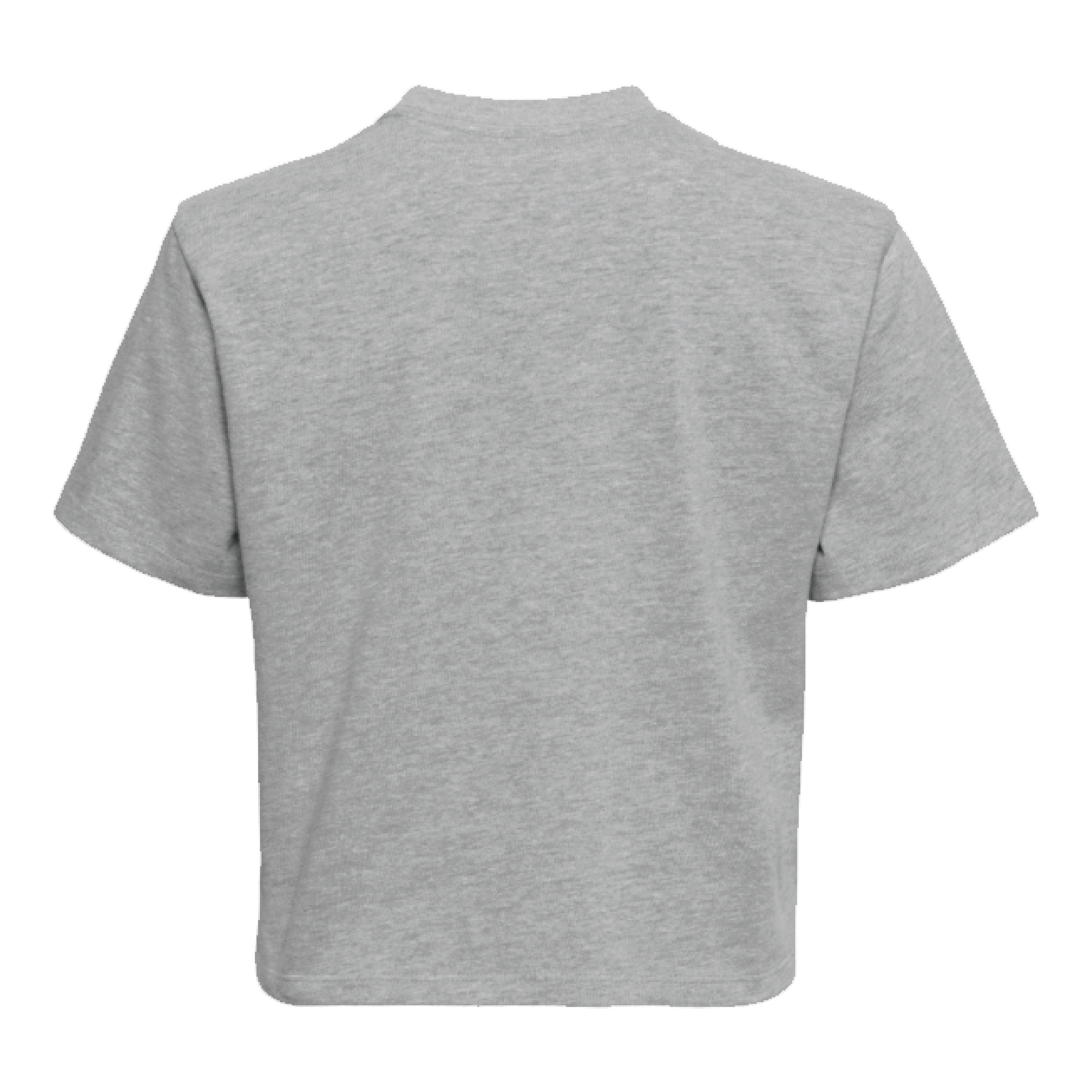 DESALES | VINTAGE CHEER VARSITY BOXY TEE