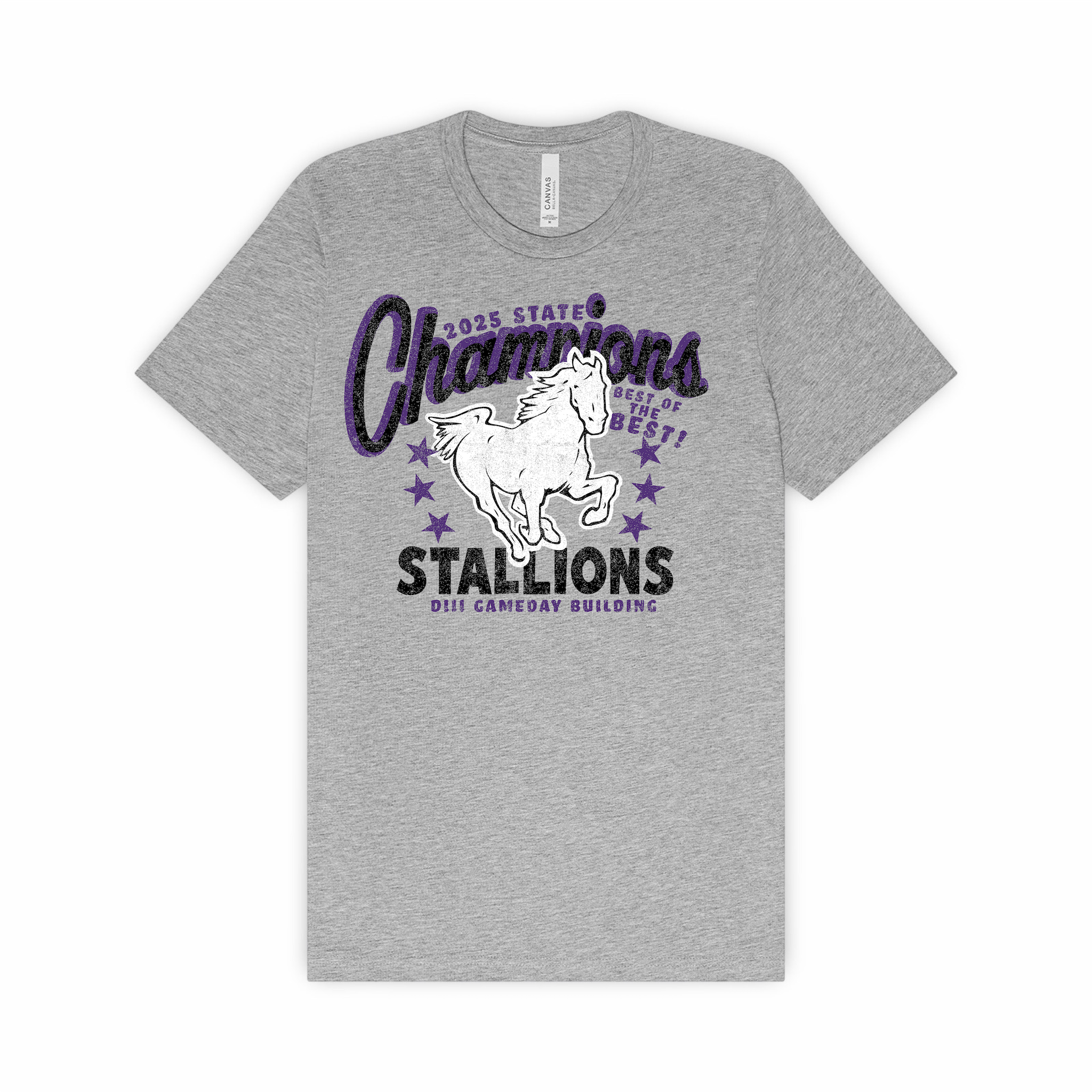 DeSales | CHEER STATE CHAMPIONSHIP VARSITY TEE