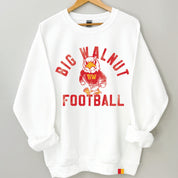 BIG WALNUT | EAGLES VINTAGE VARSITY FOOTBALL SWEATSHIRT