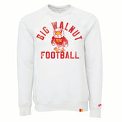 BIG WALNUT | EAGLES VINTAGE VARSITY FOOTBALL SWEATSHIRT